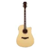 Đàn Guitar Acoustic Enya ED-18 EQ AcousticPlus mặt trước