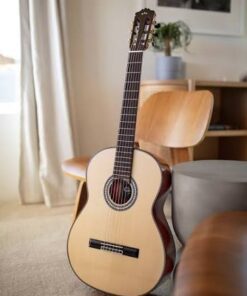 dan guitar classic cordoba c12 sp trung bay