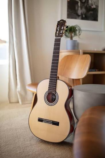 Cordoba C12 SP 12 Ảnh toàn cảnh đàn guitar classic Cordoba C12 SP trưng bày tại cửa hàng