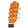dan guitar classic cordoba c1m khoa dan