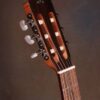 Cordoba C3M 13 dan guitar classic cordoba c3m khoa dan