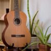 Cordoba C3M 10 dan guitar classic cordoba c3m thung dan