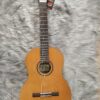 Cordoba C3M 8 dan guitar classic cordoba c3m trung bay 2