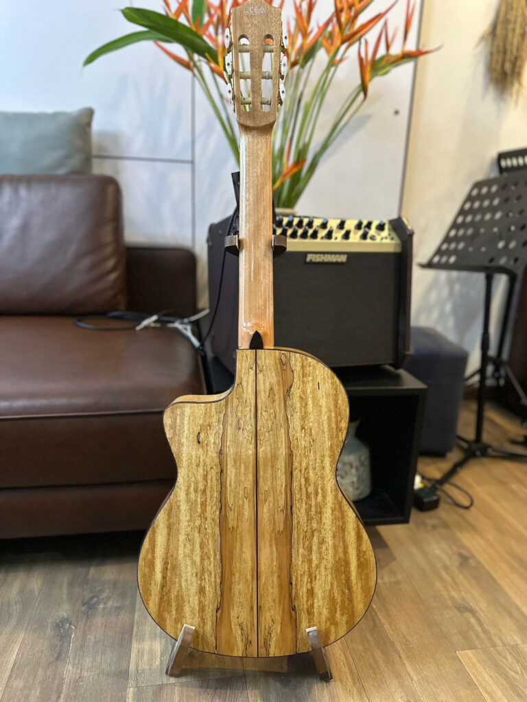 Đàn Guitar Cordoba C5-CET Spalted Maple Limited Edition mặt sau trưng bày