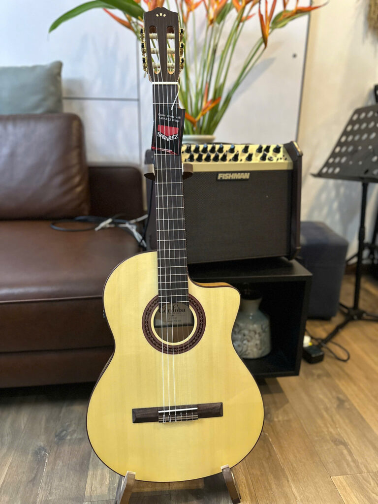 Đàn Guitar Cordoba C5-CET Spalted Maple Limited Edition mặt trước trưng bày