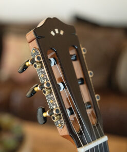 dan guitar classic cordoba c7 sp khoa dan