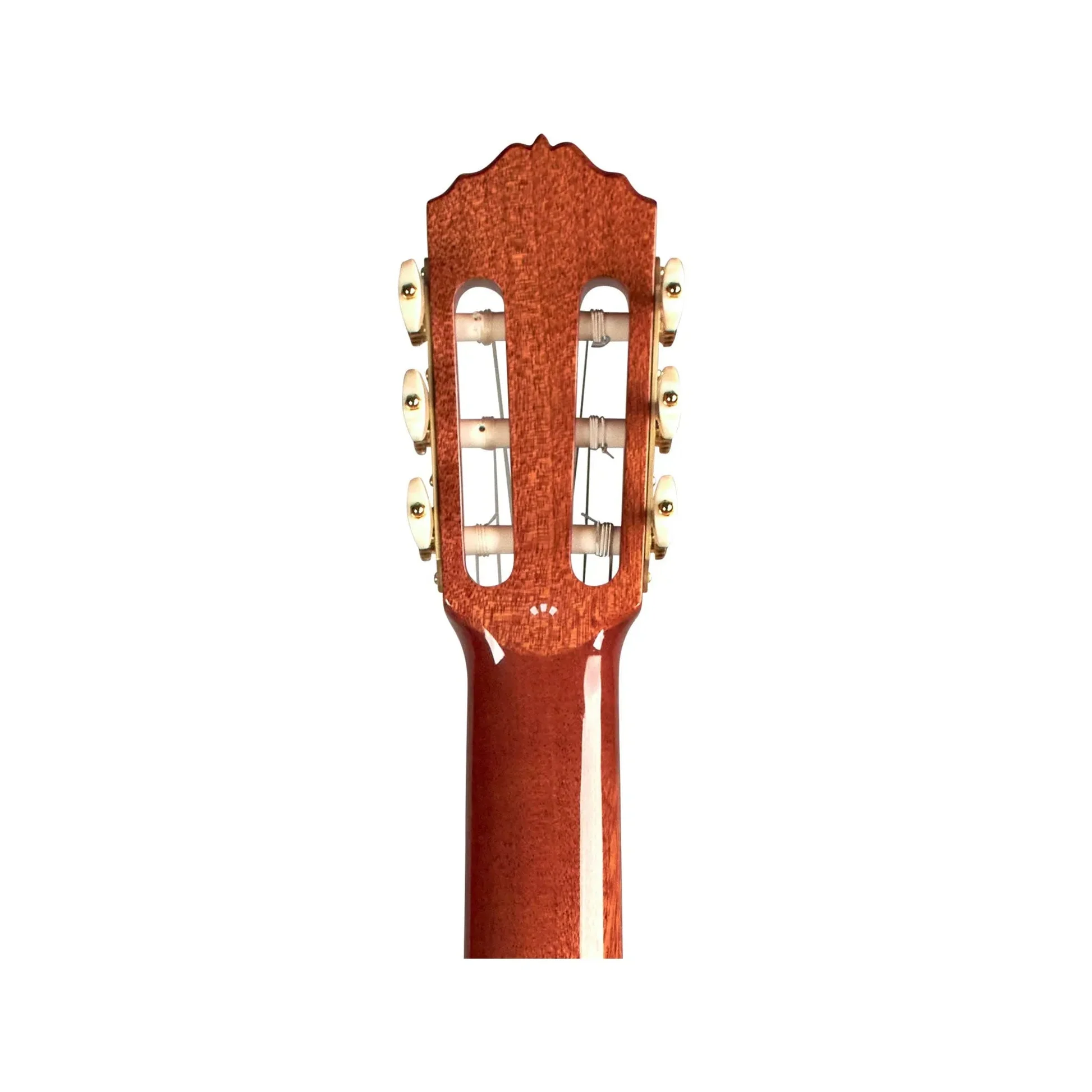 Cordoba Esteso SP 11 Góc chụp cận cảnh bộ khóa đàn cao cấp trên cây đàn Cordoba Esteso SP