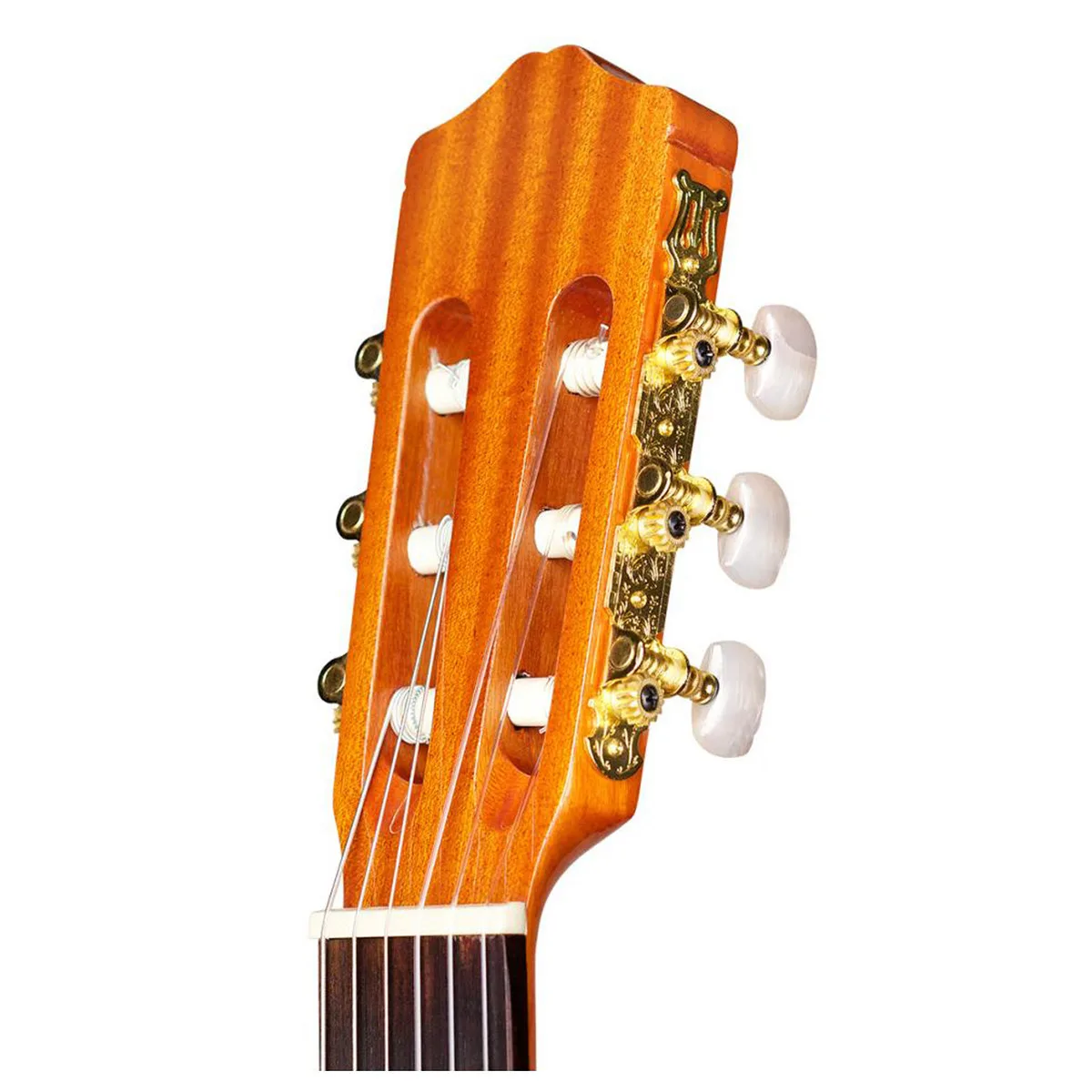 Cordoba C1 12 Cận cảnh bộ khóa đàn cao cấp tinh xảo của cây đàn guitar Classic Cordoba C1 chính hãng