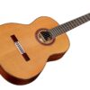 Cordoba C7 CD 6 dan guitar cordoba c7 cd mat top