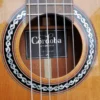 Cordoba C9 Crossover 11 dan guitar cordoba c9 crossover can canh