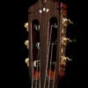 Cordoba C9 Crossover 7 dan guitar cordoba c9 crossover khoa dan 1