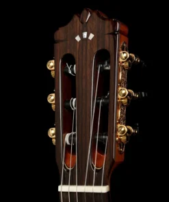 dan guitar cordoba c9 crossover khoa dan 1