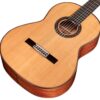 Cordoba C9 Parlor 9 dan guitar cordoba c9 parlor can canh mat top