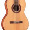dan guitar cordoba cadete thung dan