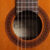 Cordoba Dolce 11 dan guitar cordoba dolce can canh mat top