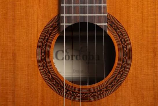Cordoba Dolce 16 Thiết kế cần đàn Cordoba Dolce chuẩn xác mang lại cảm giác bấm phím nhẹ nhàng và vô cùng thoải mái