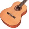 Cordoba Dolce 8 dan guitar cordoba dolce mat top