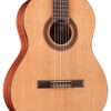 Cordoba Dolce 7 dan guitar cordoba dolce thung dan