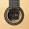 dan guitar cordoba f10 can canh