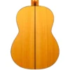 dan guitar cordoba f10 can canh mat sau
