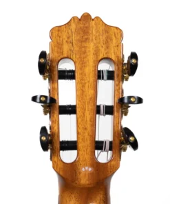 dan guitar cordoba f10 khoa dan