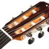 dan guitar cordoba fusion 12 maple can canh khoa dan shopguitarhanoi