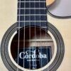 dan guitar cordoba fusion 12 maple can canh mat top shopguitarhanoi