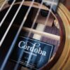 Cordoba Fusion 12 Rose II 8 dan guitar cordoba fusion 12 rose II can canh thung dan shopguitarhanoi