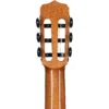 Cordoba Fusion 12 Rose II 9 dan guitar cordoba fusion 12 rose II khoa dan shopguitarhanoi