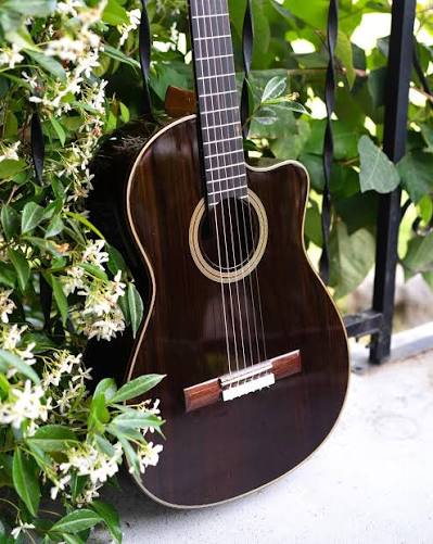 Cordoba Fusion 12 Rose II 16 Bộ khóa đàn Cordoba Fusion 12 Rose II mạ vàng sáng bóng với phím đàn được gia công tỉ mỉ