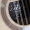 Cordoba Fusion 12 White Sands 8 dan guitar cordoba fusion 12 white sands can canh thung dan shopguitarhanoi