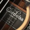 Cordoba GK Pro Negra 5 dan guitar cordoba gk pro negra can canh thung dan shopguitarhanoi