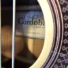dan guitar cordoba gk studio lefty can canh thung dan shopguitarhanoi