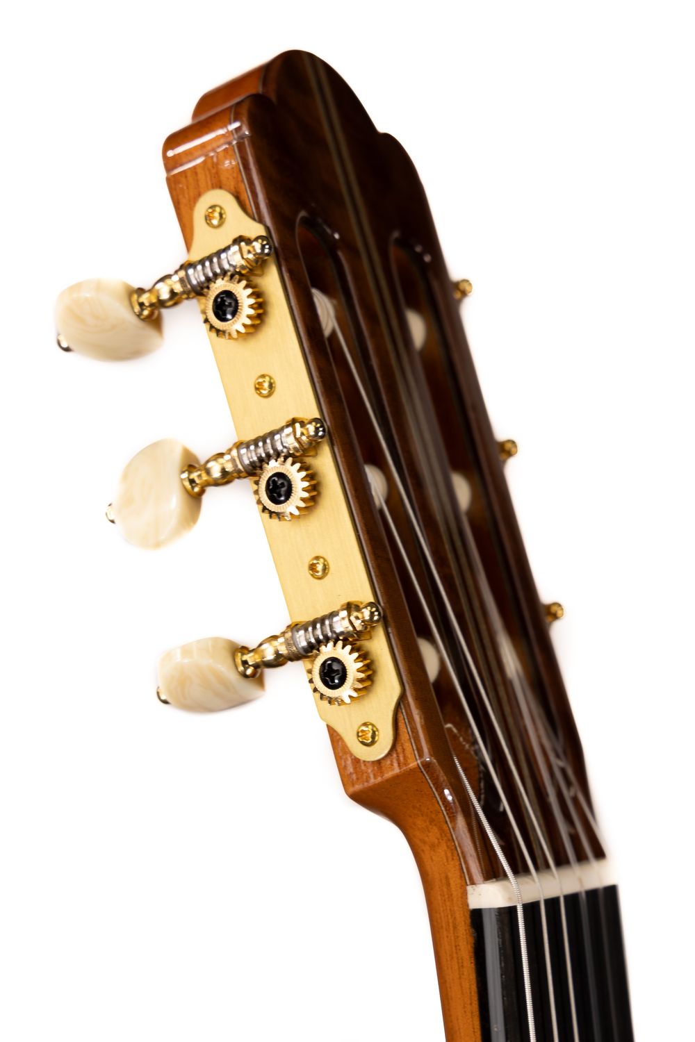 Cordoba Hauser 13 Cận cảnh bộ khóa đàn mạ vàng tinh xảo trên cây đàn guitar Cordoba Hauser cao cấp chính hãng