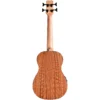 Cordoba Mini II BASS MH-E 6 dan guitar cordoba mini II bass mh e mat lung shopguitarhanoi