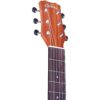 Cordoba Mini II MH 7 dan guitar cordoba mini II mh can canh khoa dan shopguitarhanoi