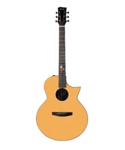 Đàn guitar Enya EA-X2 Pro mặt Solid Engelmann Spruce AAA