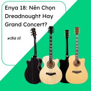 Enya 18: Nên Chọn Dreadnought Hay Grand Concert?