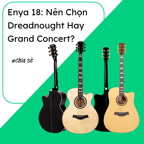 Enya 18: Nên Chọn Dreadnought Hay Grand Concert?