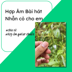 Hợp âm chuẩn Nhẫn cỏ cho em