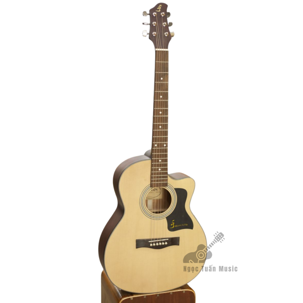 Đàn Guitar Acoustic Ba Đờn J100 12 Đàn guitar acoustic Ba Đờn J100 chính hãng Việt Nam