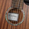 Cordoba Mini II MH CE 8 dan guitar cordoba mini II mh ce can canh thung dan shopguitarhanoi