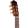 Cordoba Requinto 9 dan guitar cordoba requinto can canh khoa dan shopguitarhanoi