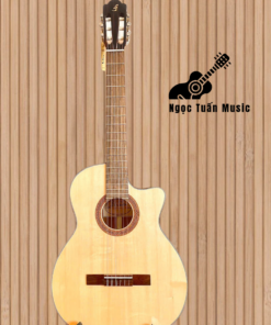 Guitar Classic Ba Đờn C-120-J (C120-J)