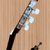 Guitar Classic Ba Đờn C-120-J (C120-J) 7 guitar ba don c 120 j ngoctuanmusic 9