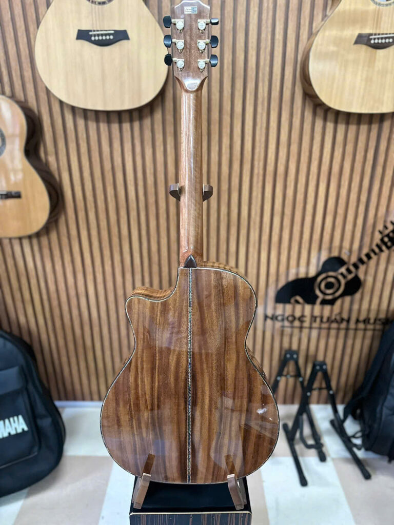 Đàn guitar Ba Đờn T700 hình ảnh mặt sau