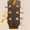 guitar ba don t70 shopguitarhanoi 1