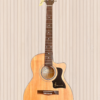 guitar ba don t70 shopguitarhanoi 4